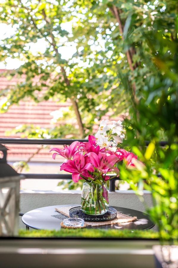 Apartman Pannonica Pin 0-24H Σλαβόνσκι Μπροντ Εξωτερικό φωτογραφία