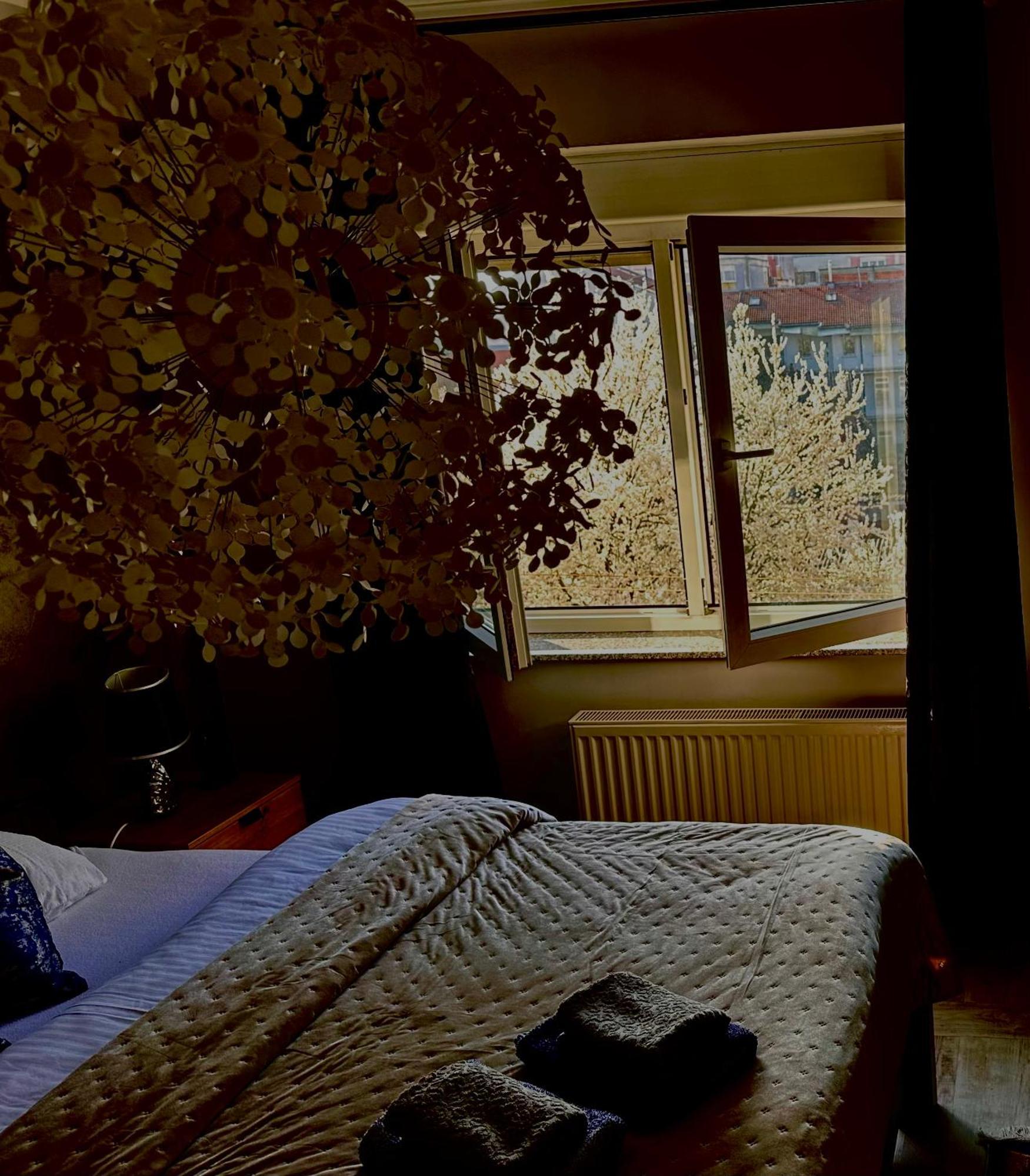 Apartman Pannonica Pin 0-24H Σλαβόνσκι Μπροντ Εξωτερικό φωτογραφία