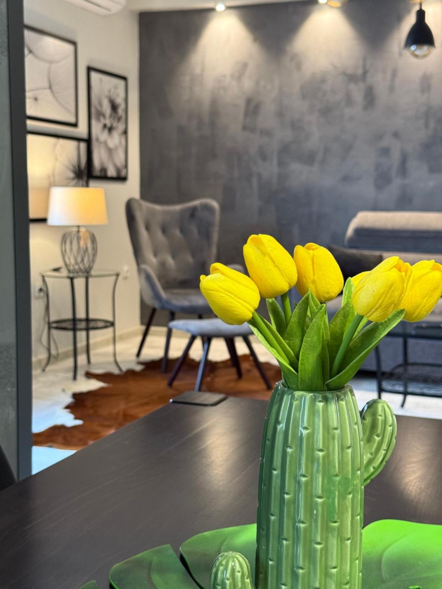 Apartman Pannonica Pin 0-24H Σλαβόνσκι Μπροντ Εξωτερικό φωτογραφία